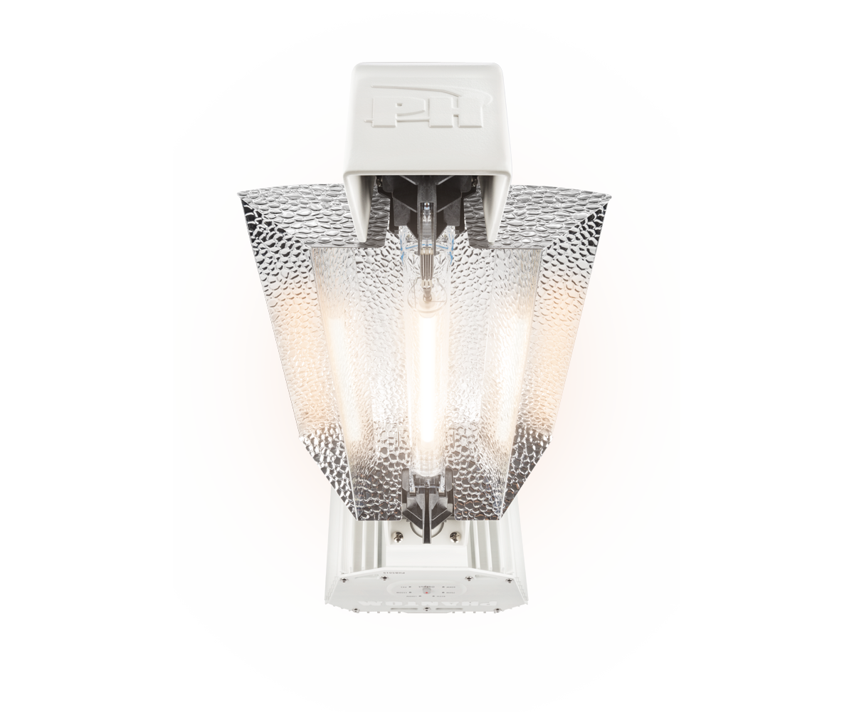 PHANTOM 50 - Front bottom